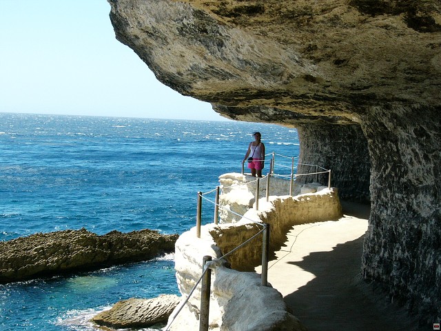 img00019.jpg