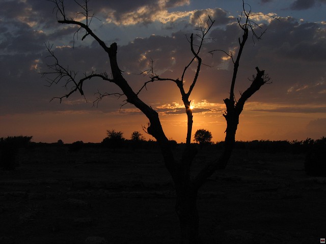 img00002.jpg