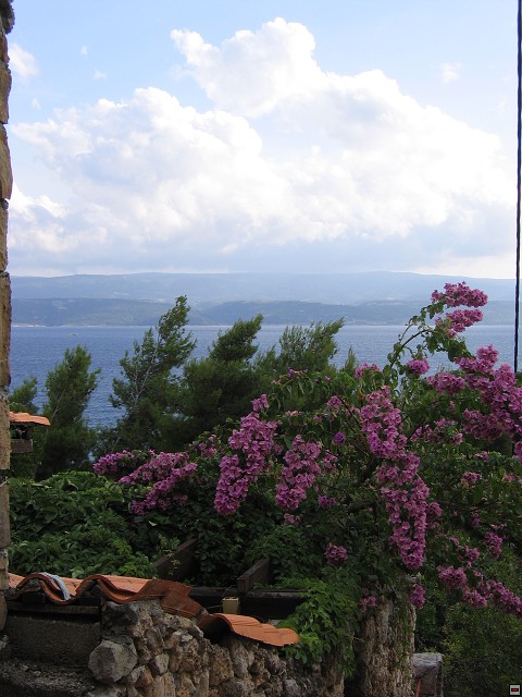 img00002.jpg