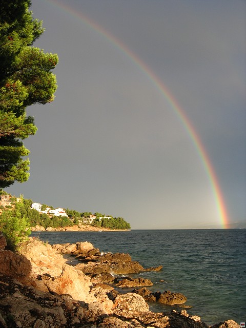img00005.jpg