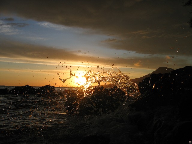 img00007.jpg