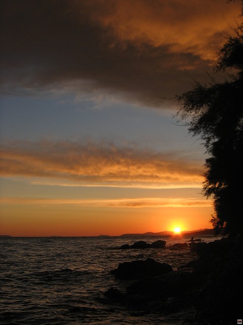 img00009.jpg