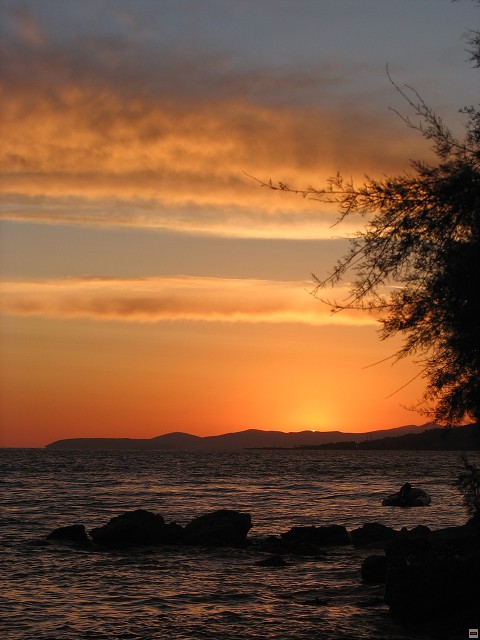img00010.jpg