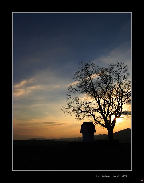 img00008.jpg