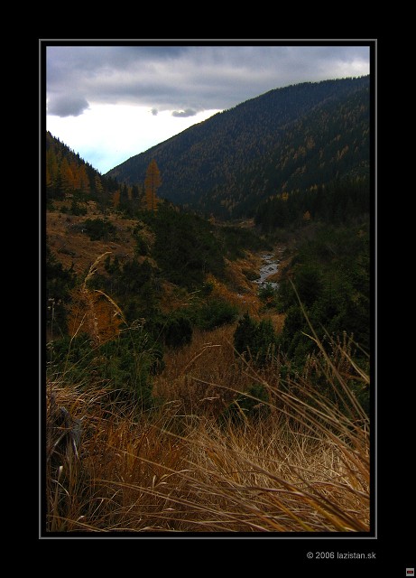 img00011.jpg