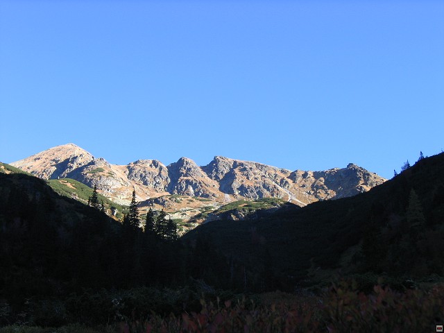img00005.jpg
