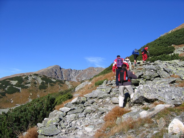 img00006.jpg