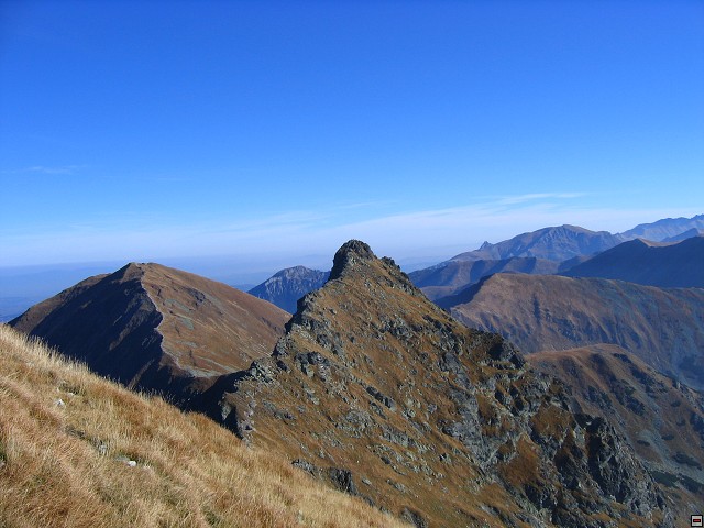 img00011.jpg