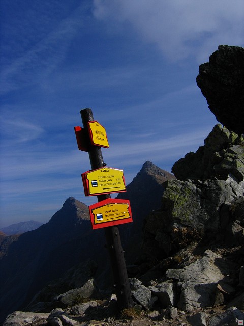 img00021.jpg