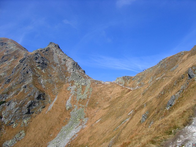 img00022.jpg