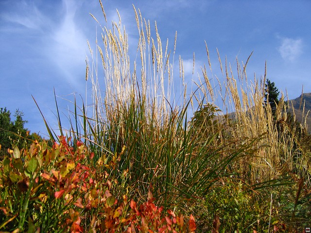 img00023.jpg