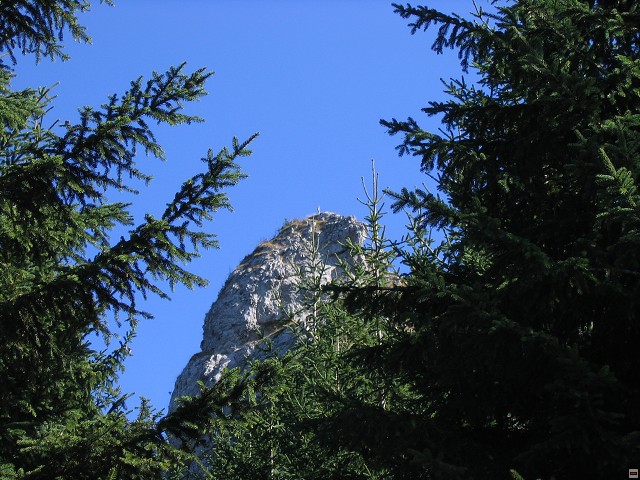 img00001.jpg