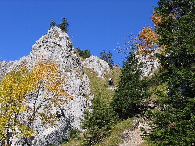 img00002.jpg