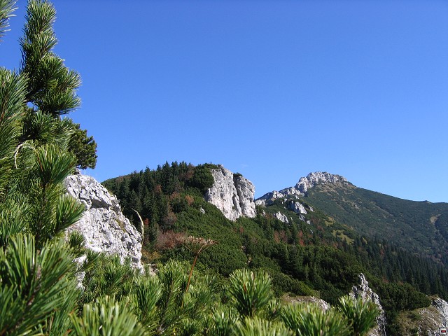 img00006.jpg