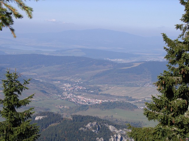 img00007.jpg
