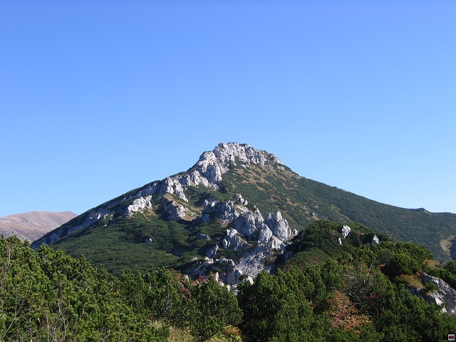 img00008.jpg
