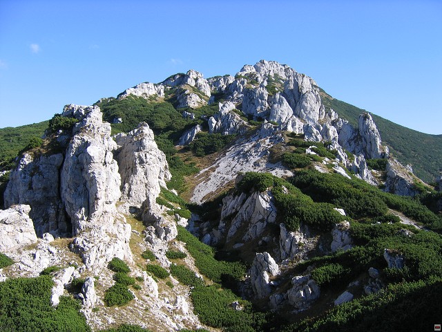 img00009.jpg