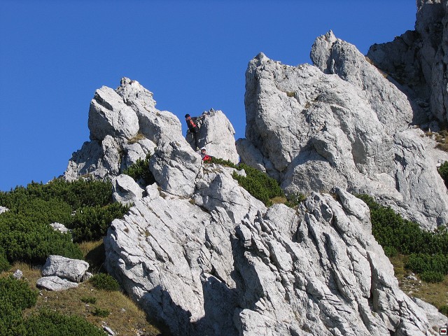 img00010.jpg