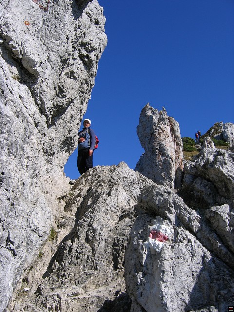 img00011.jpg