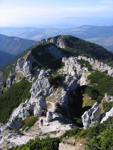 img00013.jpg