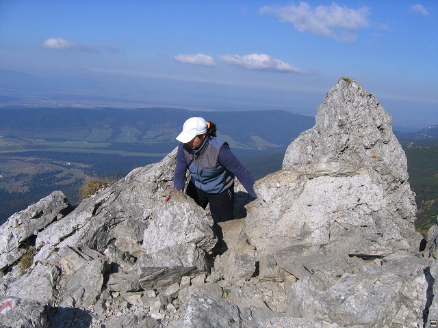 img00016.jpg