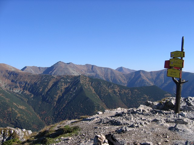 img00017.jpg