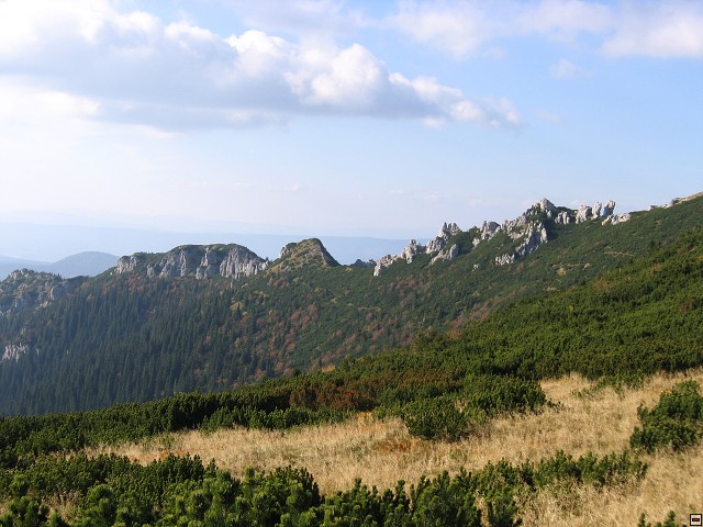 img00020.jpg