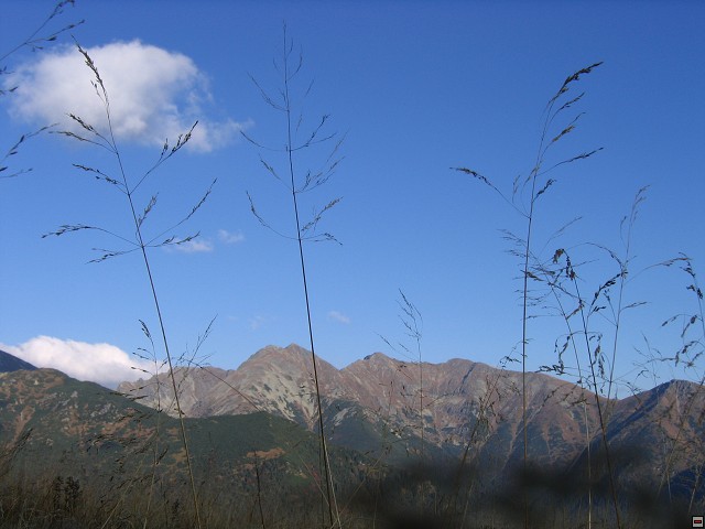 img00021.jpg